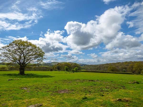 Willa Brynhir Farm Llandrindod Wells Zewnętrze zdjęcie